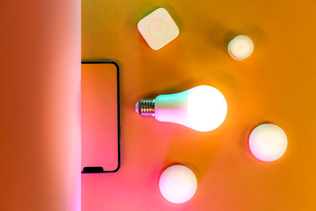 Senior Engineer Maria Kowalska examining smart lighting system components